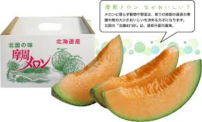 特産品の紹介（摩周メロン） | 摩周湖農業協同組合