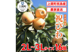 A-6 祝びわ【山田農園】 - 山口県上関町｜ふるさとチョイス ...