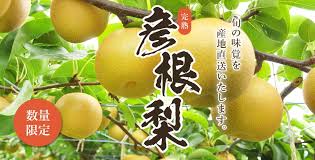 彦根梨（幸水,豊水,筑水） オンラインショップ 販売・ご予約 ...