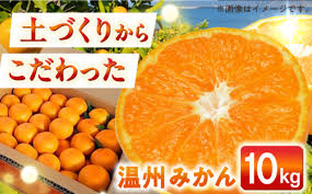 自然の力を活かした栽培】温州みかん（普通） 10kg -2024年12月 ...