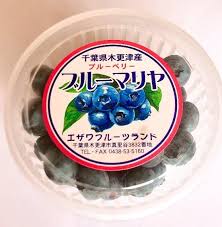 ブルーベリーの森 エザワフルーツランド 完全無農薬ど根性 ...