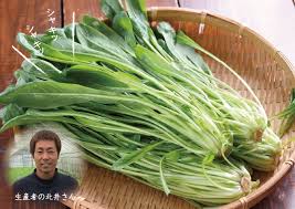 京のほっこり冬鍋セット」より壬生菜のお話｜ごま油の山田製油