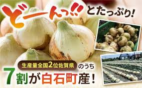 先行予約】白石産たまねぎ 約10kg / 玉ねぎ 玉葱 タマネギ ...