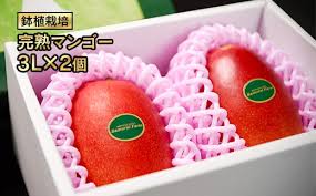 宮崎県西都市の大人気！！西都市フルーツ・野菜特集 おめでとう ...