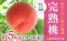25年発送先行予約＞笛吹市産こだわりの桃 約5.0kg (9～16玉 ...