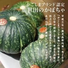 ◇5月中旬頃から出荷開始◇【かごしまブランド】加世田の ...