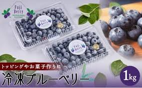 Fuji Berry 急速冷凍ブルーベリー1kg - 山梨県富士河口湖町 ...