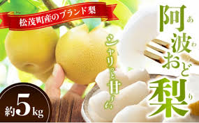 松茂町産 梨（阿波おど梨）5kg - 徳島県松茂町｜ふるさと ...