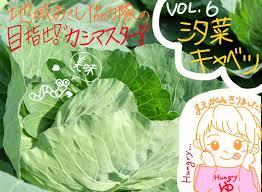 地域おこし協力隊 】目指せ！”カシマスター！” vol.6 - 鹿嶋市 ...