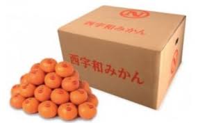 真穴みかん ＜サイズおまかせ＞ 10kg＜G43-6＞【1490404 ...