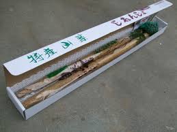 贈答用］自然薯1.2kg 2～3本入り 北茨城市産 最高級品・化粧 ...