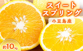 スイートスプリング 10kg | 【直営】香川県土庄町（とのしょう ...