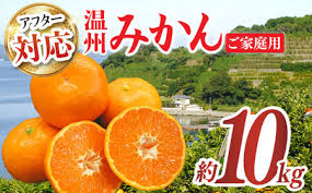 ご家庭用】みかん 約 10kg（100-120個）ー2024年11月下旬より ...