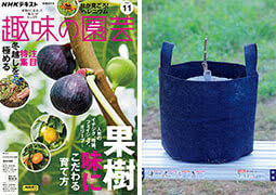 舞茸採ったどぉ！！｜園芸日記byくりたけ｜みんなの趣味の園芸 ...