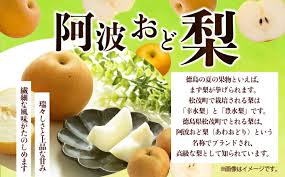楽天市場】【ふるさと納税】松茂町産 梨（阿波おど梨）5kg 徳島 ...