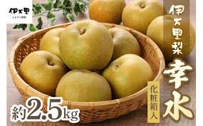 令和6年産先行予約】伊万里梨「幸水」化粧箱入 約2.5kg B159 ...