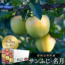 楽天市場】【ふるさと納税】サンふじ・ぐんま名月ミックス（約 ...