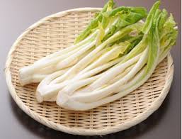 雪菜・雪菜のふすべ漬販売｜米沢の伝統野菜「雪菜」