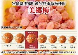 梅 南高梅 美郷梅使用 梅干し 昆布 シソ 風味 セット 3L サイズ ...
