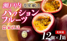 2025年発送 先行受付】パッションフルーツ 化粧箱12個入り×1箱 ...