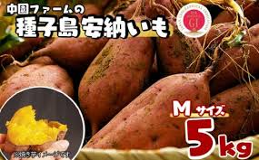 種子島 中園ファーム 安納いも ( 生芋 ) M サイズ 5kg NFN057 ...