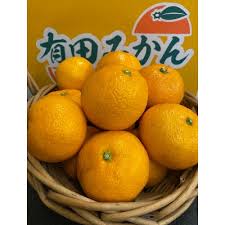 和歌山県有田川町産】早生有田みかん10kg(S～Lサイズ) | 和歌山 ...