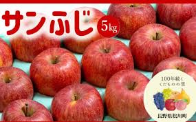 AS09-24A りんご サンふじ 秀品（松川町産）約5kg ／2024年11月 ...