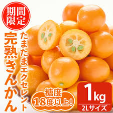 楽天市場】【ふるさと納税】＜期間限定・2月～3月＞完熟きんかん ...