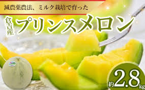 プリンスメロン【倉吉産】 メロン 2024 鳥取 果物 フルーツ 数量 ...