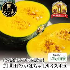 ◇5月中旬頃から出荷開始◇【かごしまブランド】加世田の ...
