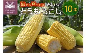2024年発送】きみひめとうもろこし10本（山梨県甲府市限定生産 ...