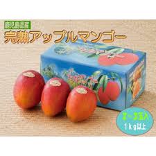 2024年発送・先行受付】完熟アップルマンゴー約1kg | 鹿児島県南 ...