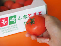 長崎は美味しいもので溢れている！旬を食べよう〜春夏編 ...