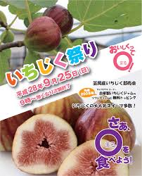 9.25 いちじく祭り | 道の駅笠岡ベイファーム