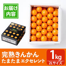 楽天市場】【ふるさと納税】＜期間限定・2月～3月＞完熟きんかん ...