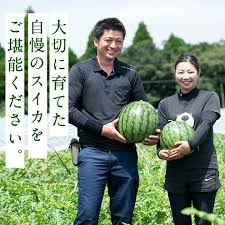 楽天市場】【ふるさと納税】＜選べる内容量！＞＜2024年7月中旬 ...