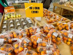 長泉町】四ッ溝柿並んでいます！ | しずおか農山村サポーター ...