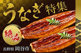 うなぎのまち岡谷 うなぎ特集 ｜ふるさとチョイス - ふるさと ...