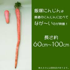 山梨百貨店 / 山梨 市川三郷産 大塚にんじん 長さに驚き 高い ...