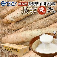 楽天市場】長野県 山形村産 長芋 春掘り 【秀品】 5kg（4〜5本 ...