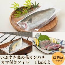 いぶすき菜の花カンパチ カマ付きフィレ(片身)1kg以上 | みなみ ...