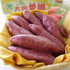 情熱の賜物！しっとり大栄愛娘 ［5Kg・L］: JA全農ちば ...