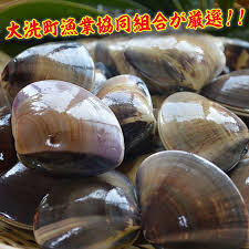 大洗産鹿島灘天然はまぐり 5kg 冷蔵 お吸い物 ハマグリ 蛤 貝 砂 ...