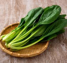 コマツナ | 都内産野菜 | とうきょうの恵みTOKYO GROWN