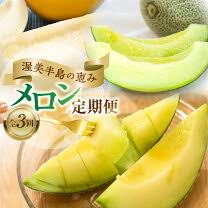 楽天市場】ふるさと納税タカミメロンの通販
