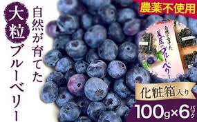 先行予約 ＞ 美馬の大粒ブルーベリー（100g×6パック） 《2025年6 ...