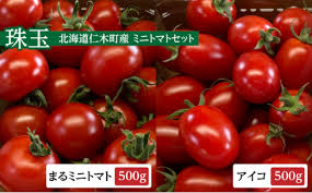 北海道 仁木町 【珠玉】まる ミニトマト 500g & アイコ 500g ...