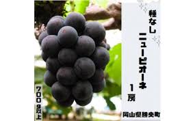 岡山県 勝央町産 ニューピオーネ 700g以上 （1房）_【7月下旬 ...