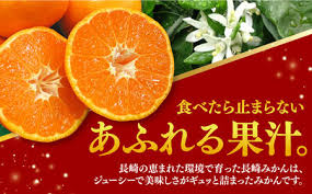 ご家庭用】みかん 約 10kg（100-120個）ー2024年11月下旬より ...
