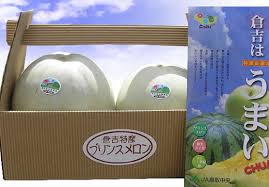 プリンスメロン - 倉吉観光情報